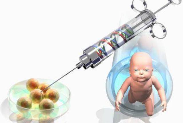林主任